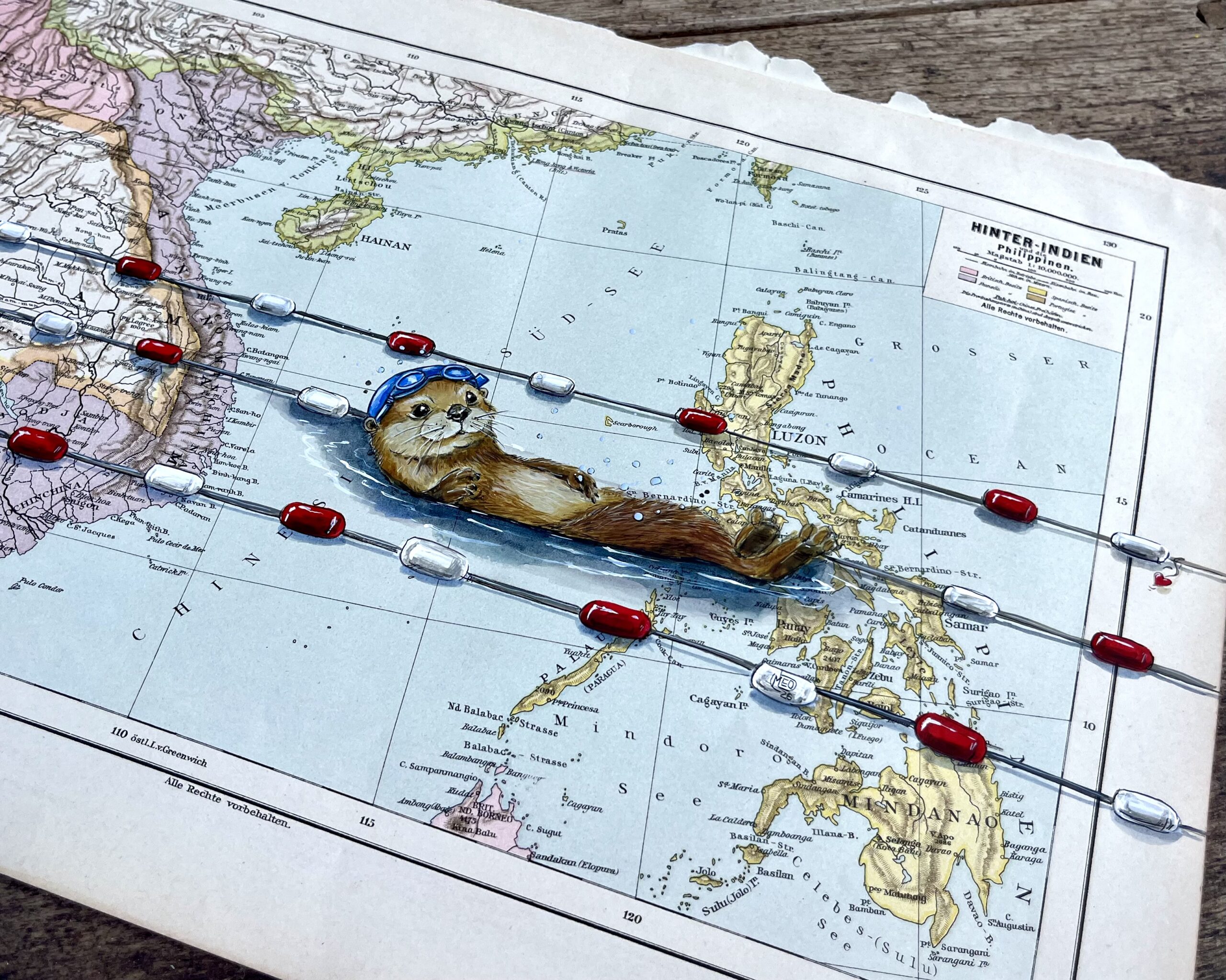 Treiben lassen – Otter auf alter Landkarte – Bild 3