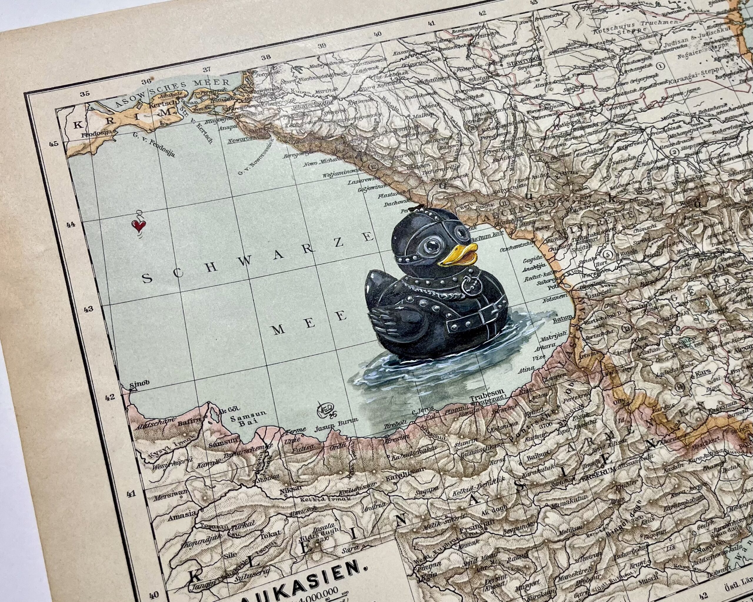 Schwarzes Meer. Schwarze Seele. – Ente in Lack und Leder