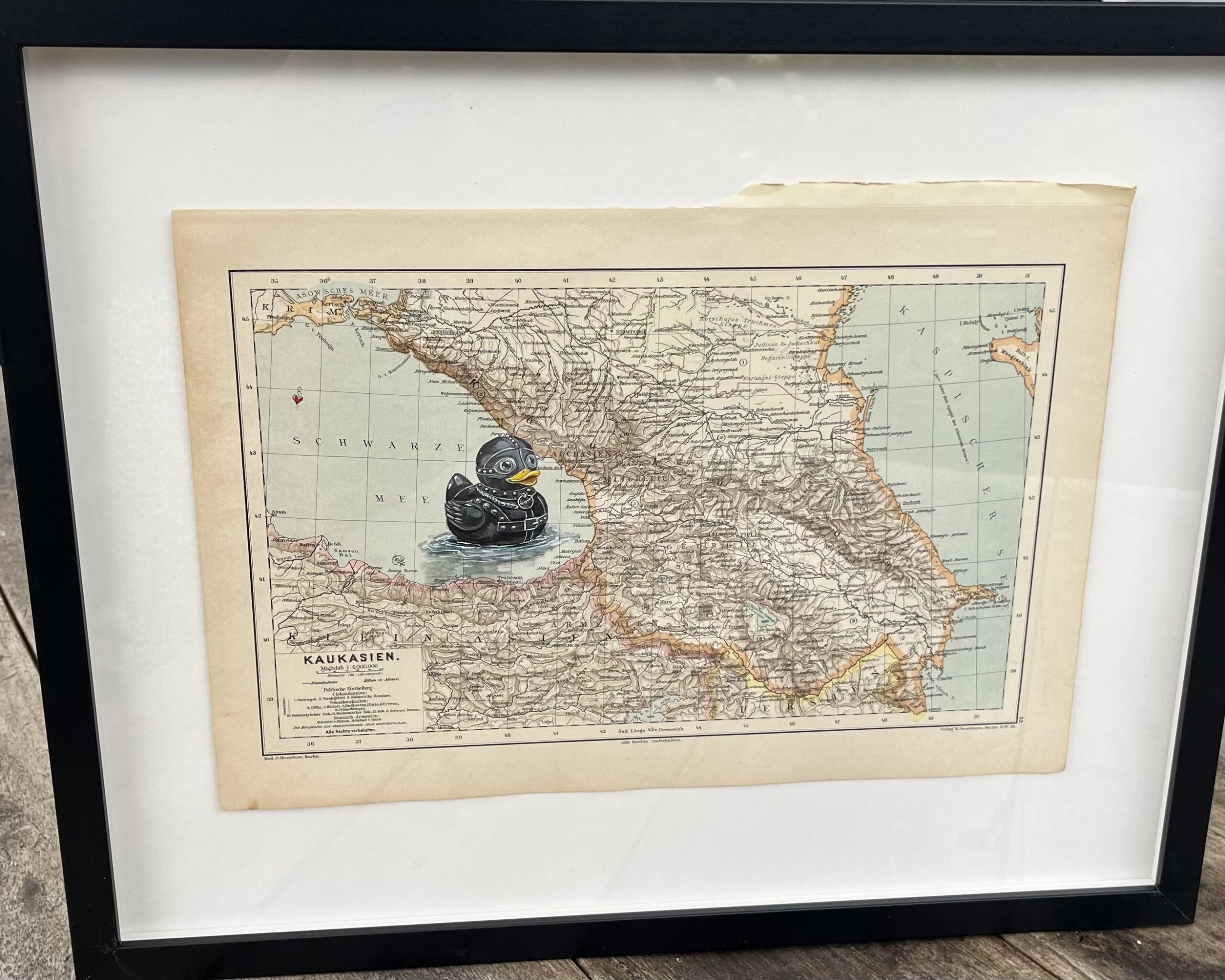 Schwarzes Meer. Schwarze Seele. – Ente in Lack und Leder – Bild 2