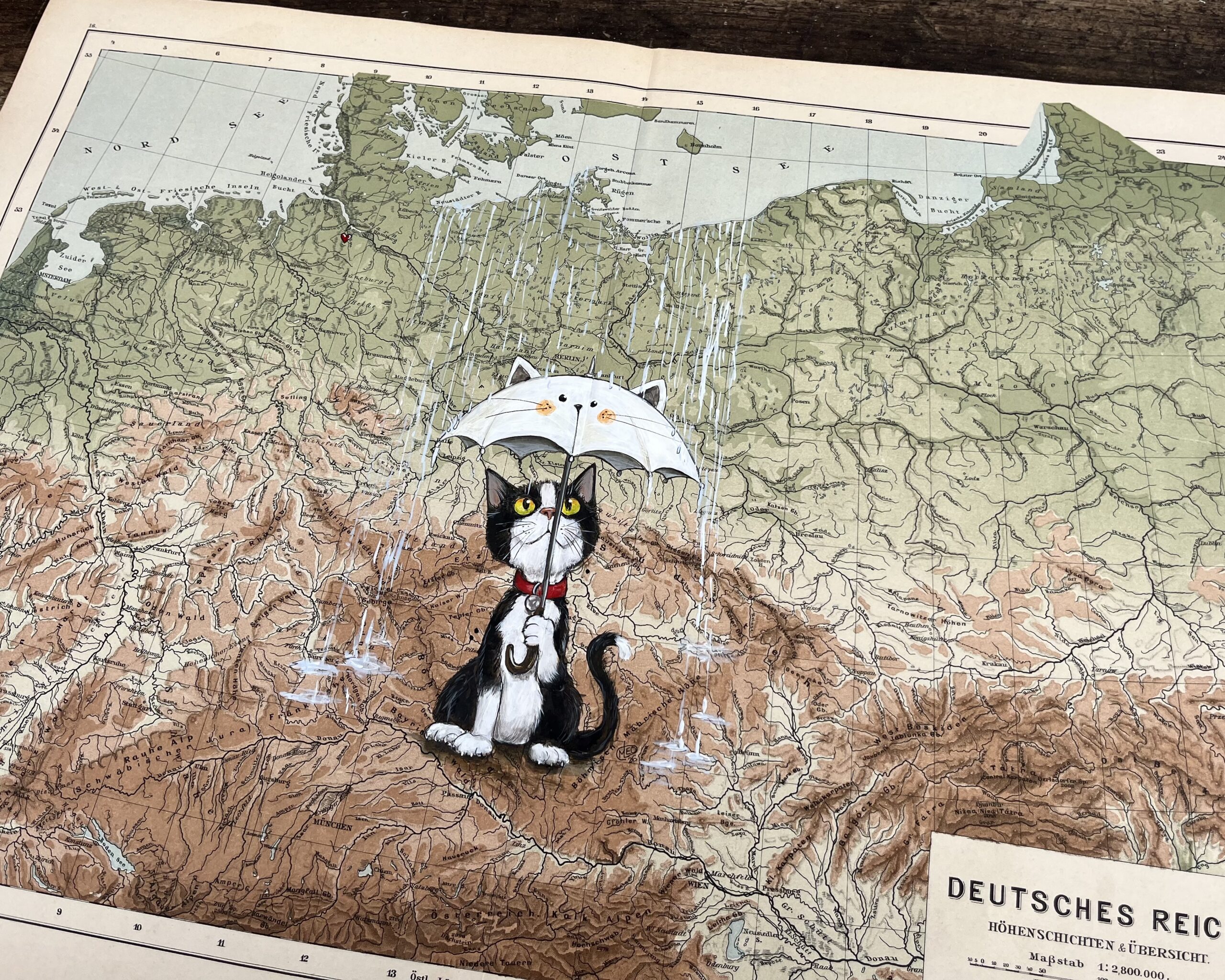 Ostsee-Wetter – Katze mit Regenschirm auf alter Landkarte – Bild 3