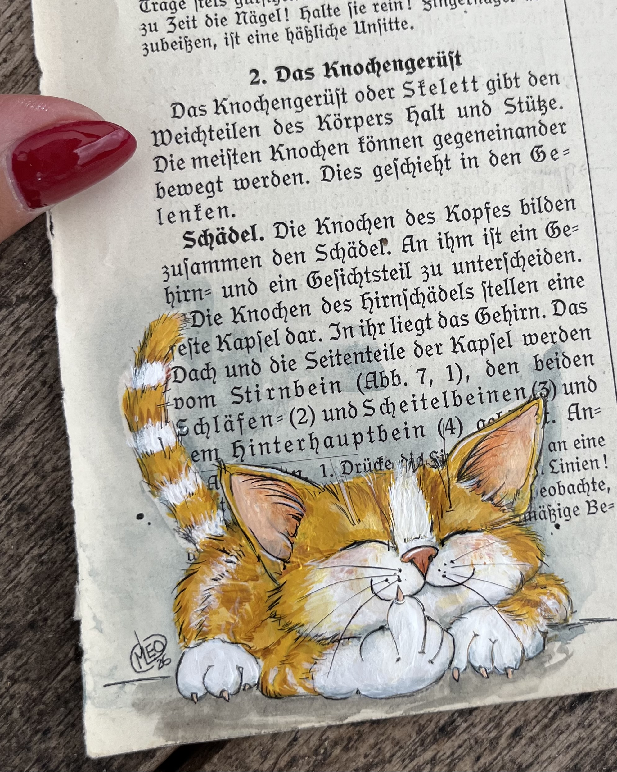 Can you see the "fuck you" in my smile? – Bild 3