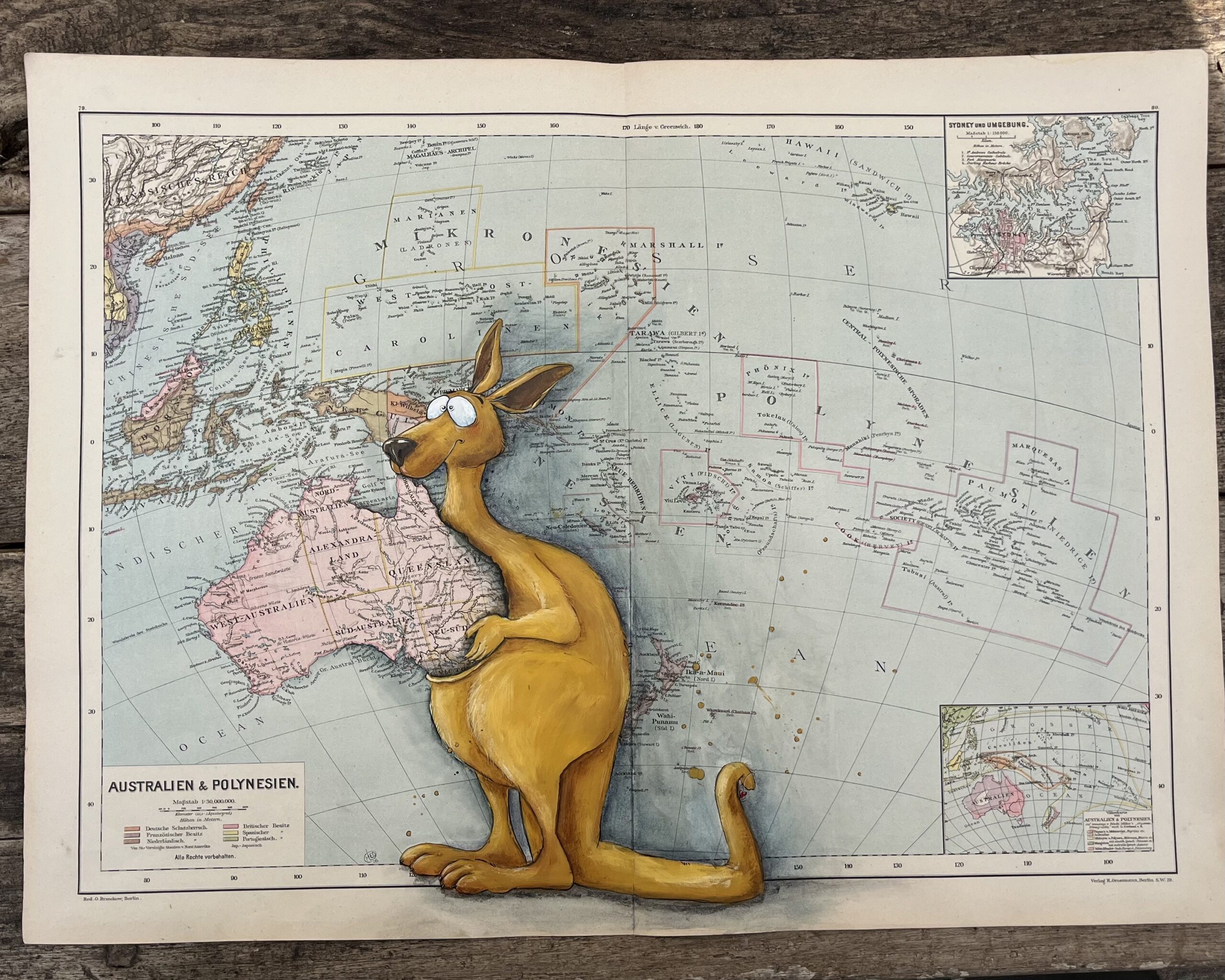 Australien im Sack72 x 52 cm – Bild 2